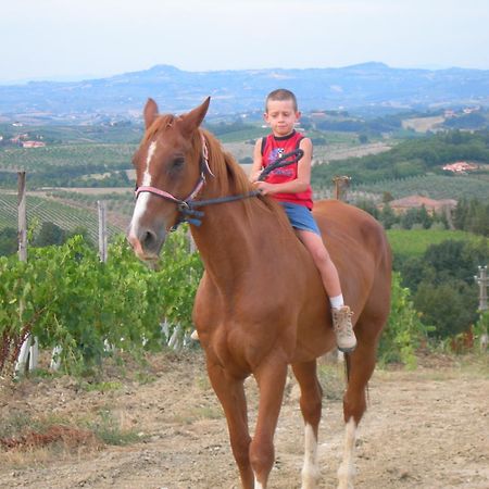 Agriturismo Podere La Marronaia San Gimignano Kültér fotó