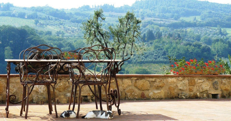 Agriturismo Podere La Marronaia San Gimignano Kültér fotó