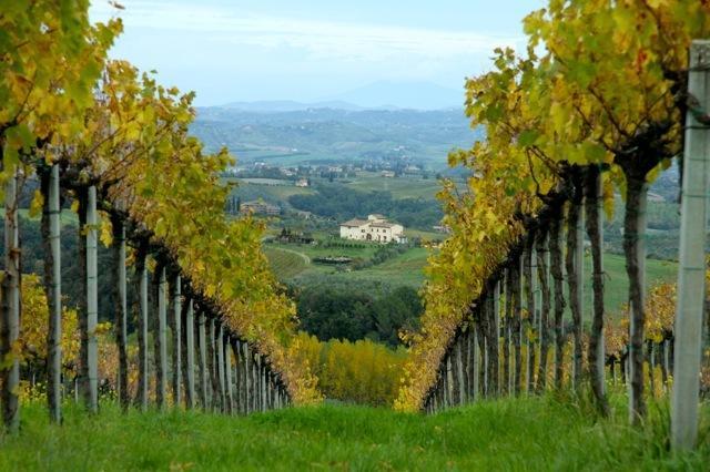 Agriturismo Podere La Marronaia San Gimignano Kültér fotó